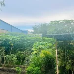 Bán Lô Đất 552m² Mặt Tiền Tân Thới Nhì, Hóc Môn – Đầu Tư Tiềm Năng