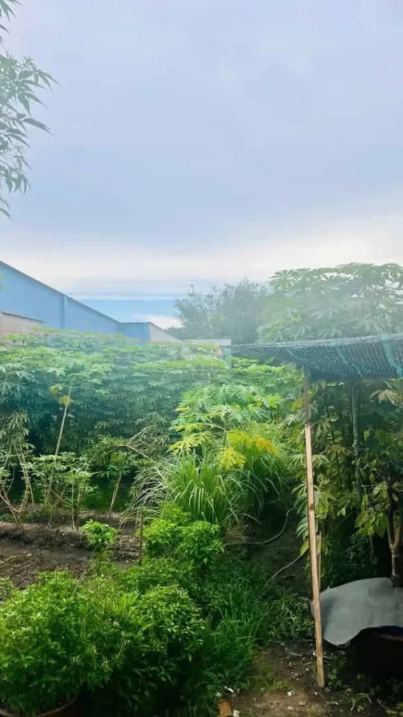 Bán Lô Đất 552m² Mặt Tiền Tân Thới Nhì, Hóc Môn – Đầu Tư Tiềm Năng
