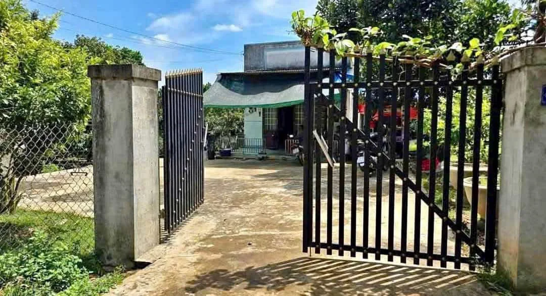 Nhà Vườn Xanh Mát Tại Cư Xá Bình Lợi – Không Gian Sống Gần Gũi Thiên Nhiên