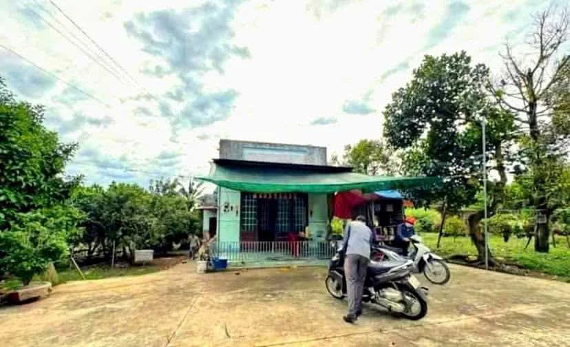 Nhà Vườn Xanh Mát Tại Cư Xá Bình Lợi – Không Gian Sống Gần Gũi Thiên Nhiên