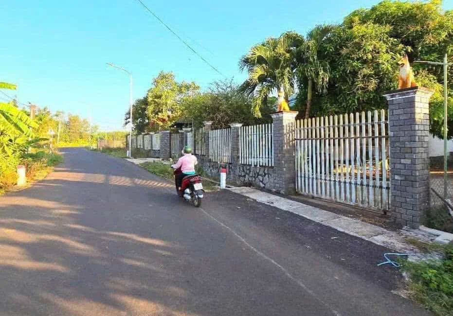 Nhà Vườn Xanh Mát Tại Cư Xá Bình Lợi – Không Gian Sống Gần Gũi Thiên Nhiên