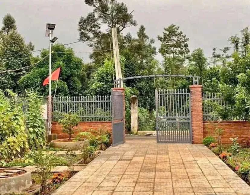 Nhà Vườn Nhà Bè – Không Gian Xanh Yên Bình, Vào Ở Ngay