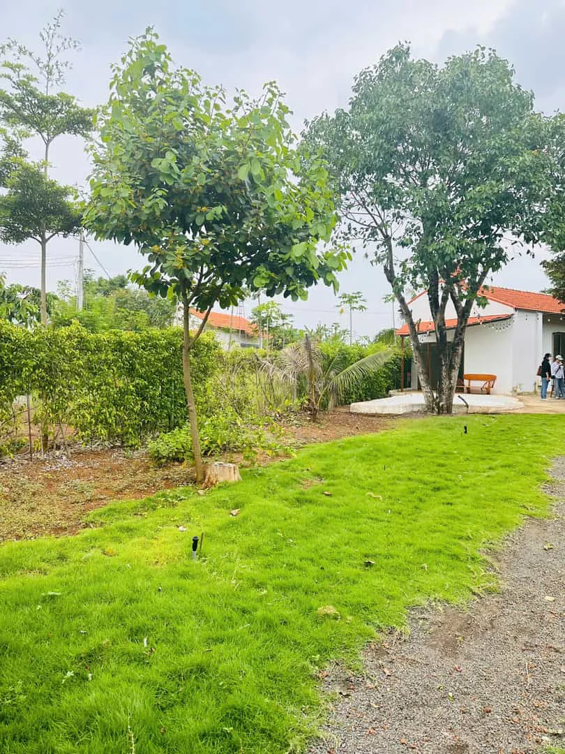Bán Đất 400m² Tại Greenergy House – Long Tân, Đất Đỏ – Gần Biển Long Hải