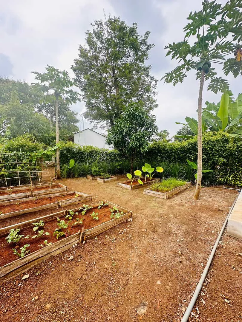 Bán Đất 400m² Tại Greenergy House – Long Tân, Đất Đỏ – Gần Biển Long Hải