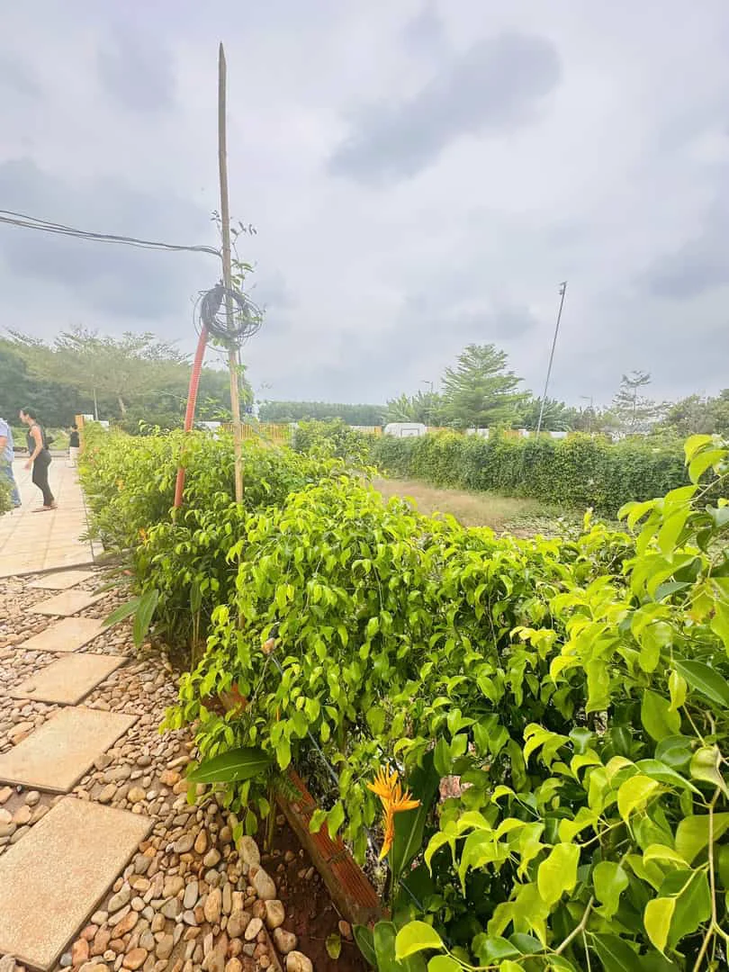 Bán Đất 400m² Tại Greenergy House – Long Tân, Đất Đỏ – Gần Biển Long Hải