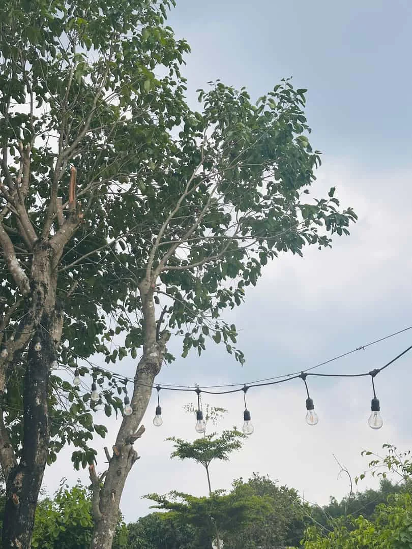 Bán Đất Biệt Thự Vườn 400m² Greenergy House Đất Đỏ – Sổ Hồng Riêng
