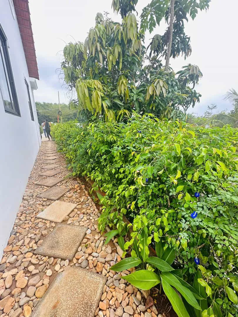 Bán Đất Biệt Thự Sinh Thái Greenery House Long Tân – 400m² – 3.55 Tỷ