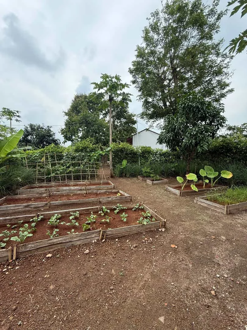 Greenery House Bà Rịa – Nhà Vườn Nghỉ Dưỡng Giá Từ 3 Tỷ Đồng