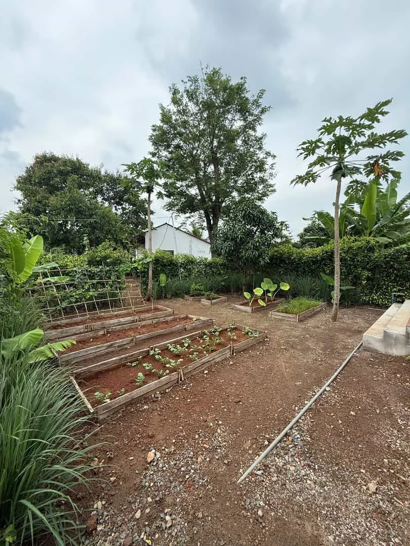 Greenery House Bà Rịa – Nhà Vườn Nghỉ Dưỡng Giá Từ 3 Tỷ Đồng