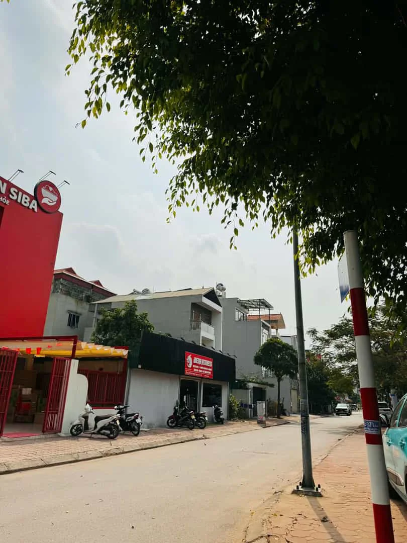 Bán Đất Biệt Thự Khu Đấu Giá 31ha Trâu Quỳ Gia Lâm 248m2 Đường 15m View Vườn Hoa