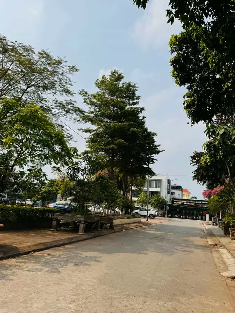 Bán Đất Biệt Thự Khu Đấu Giá 31ha Trâu Quỳ Gia Lâm 248m2 Đường 15m View Vườn Hoa
