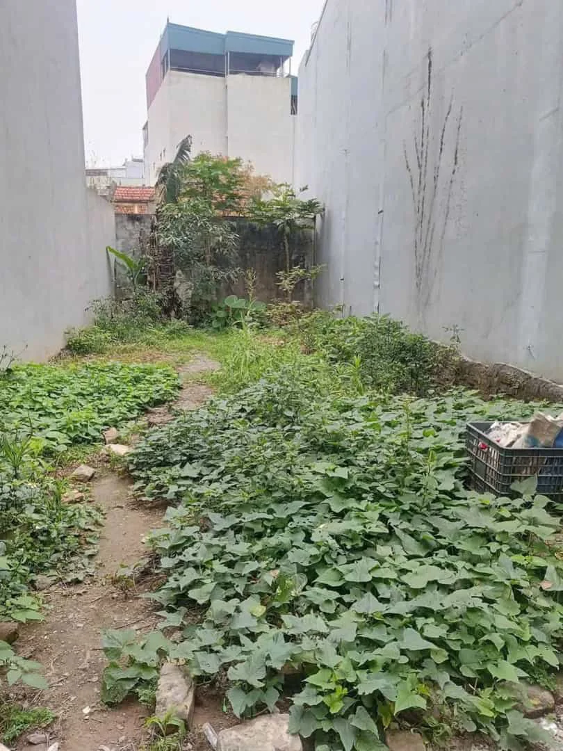 Bán 52m2 Kim Ngưu Tặng Nhà 2 Tầng – Ngõ Thẳng Ra Minh Khai