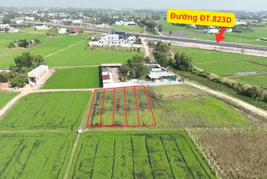 Bán 5 Lô Đất Nền Đức Hòa – Long An – Vị Trí Đắc Địa Gần ĐT.823D