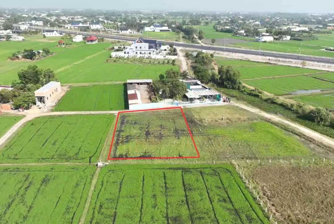 Bán 5 Lô Đất Nền Đức Hòa – Long An – Vị Trí Đắc Địa Gần ĐT.823D
