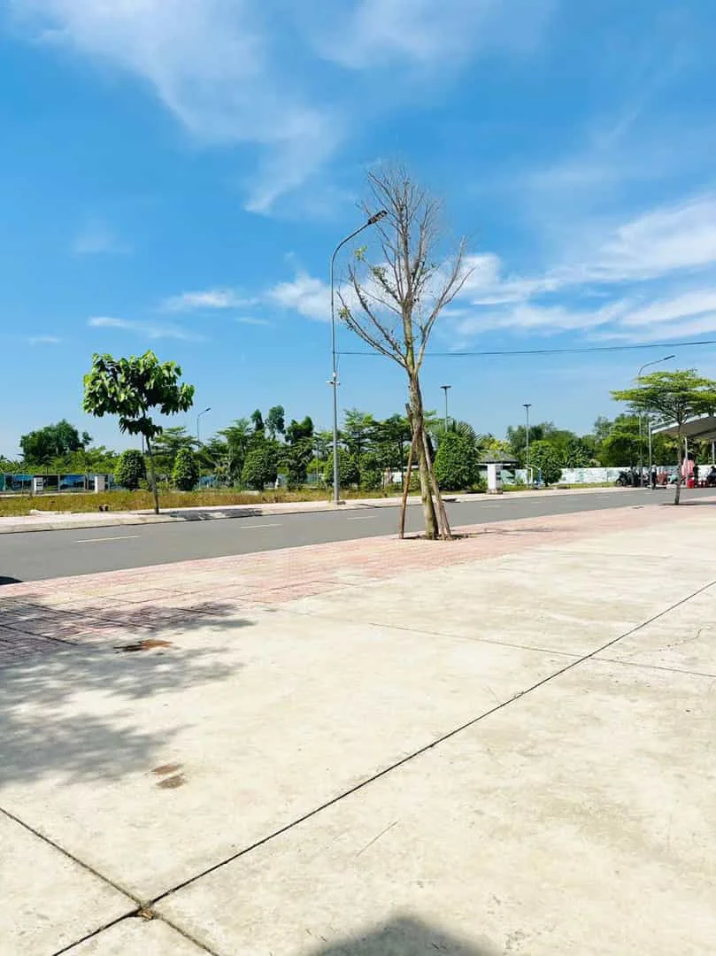 Bán Đất Bến Lức Đường Nguyễn Hữu Trí – Diện Tích 90m2 Đầy Đủ Thổ Cư
