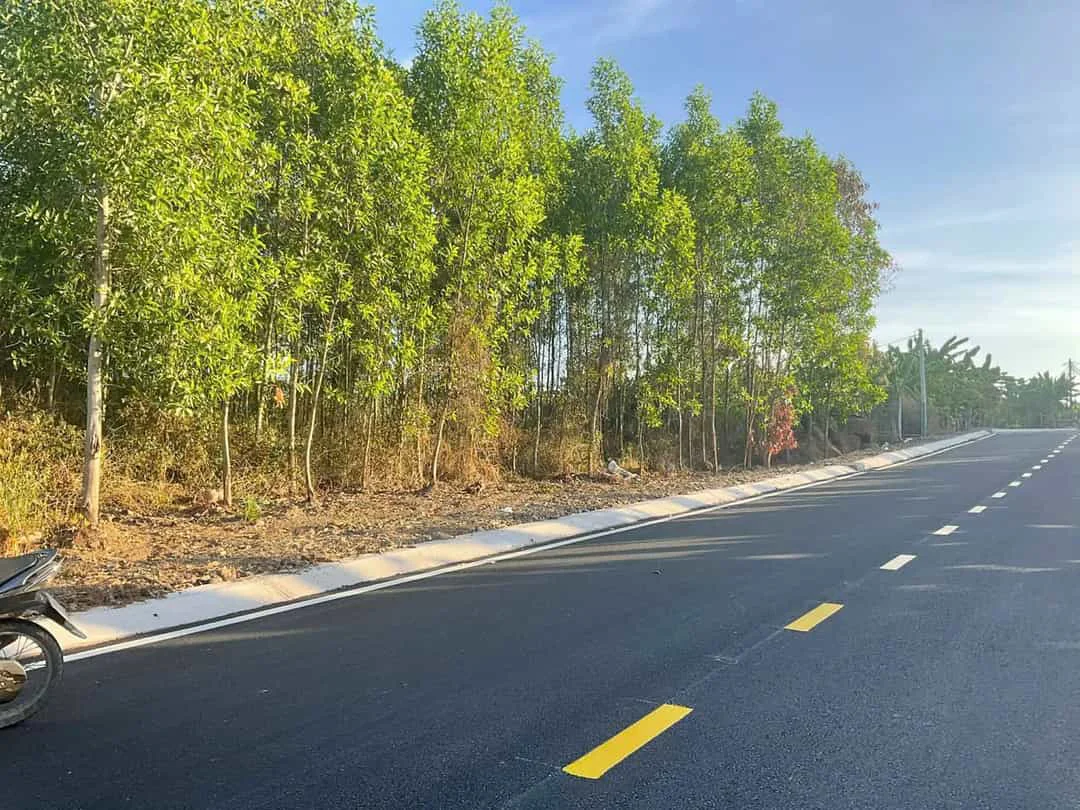 Bán Đất 2 Mặt Tiền Đường Nhựa – Gần Trung Tâm Hành Hương Đức Mẹ Núi Cúi