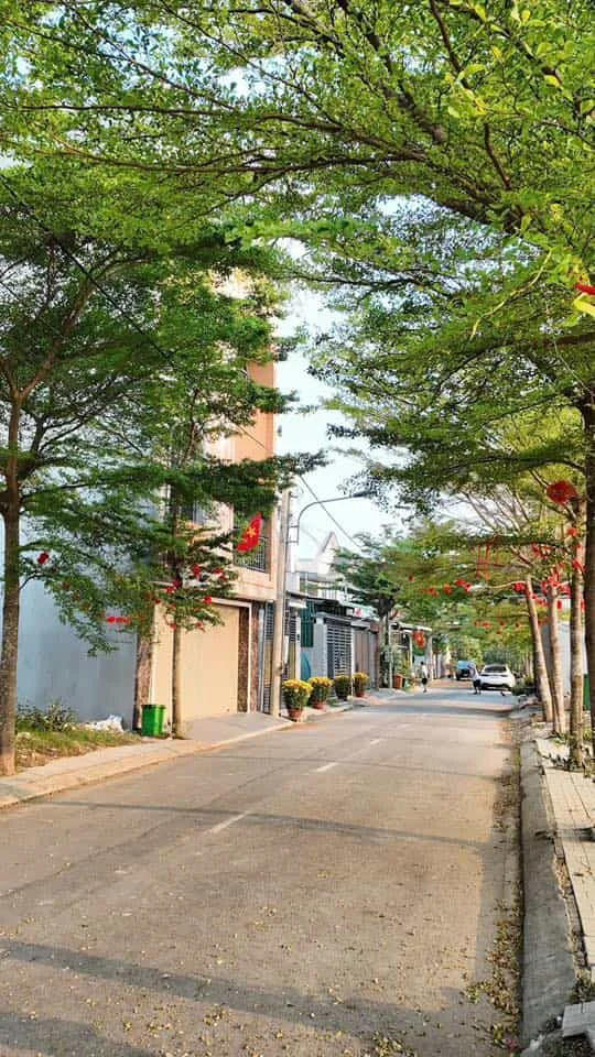 Đất Nền Tân Triều Mới – Sổ Riêng, Thổ Cư – Giá Hợp Lý