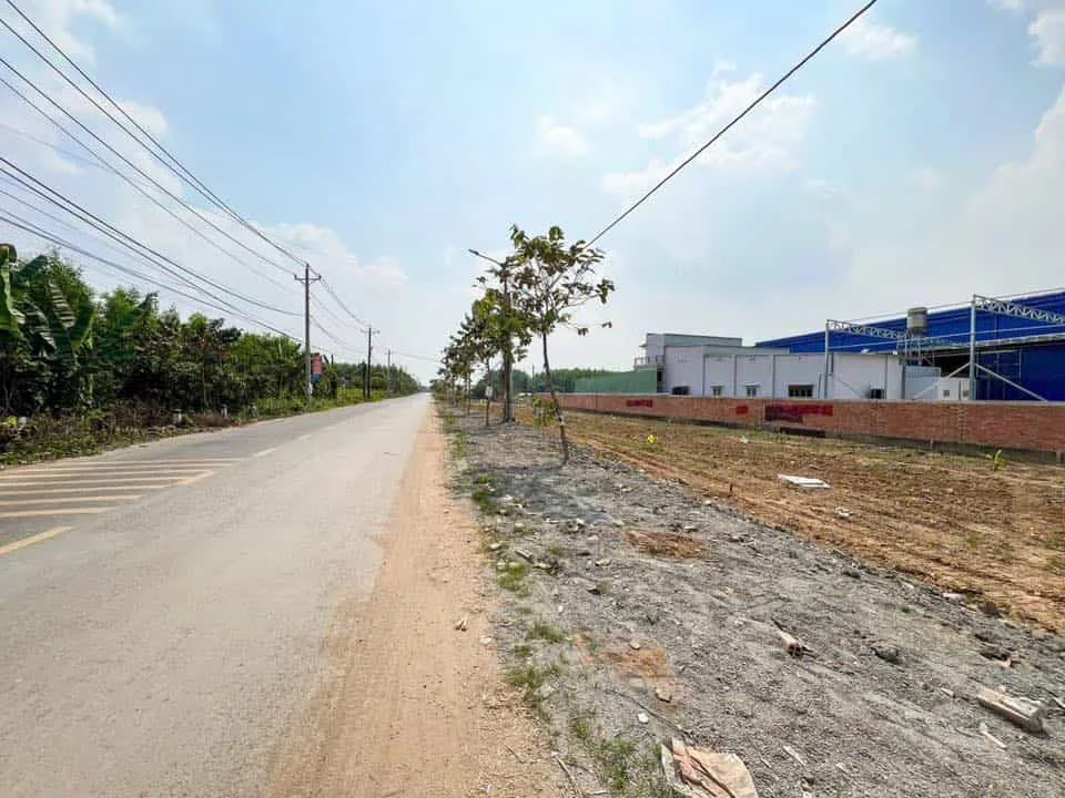 Bán 5 Lô Đất Liền Kề Mặt Tiền Hương Lộ 7 – Vị Trí Kết Nối Đắc Địa