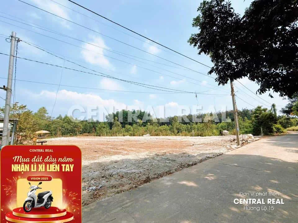 Bán 5 Lô Đất Đẹp Sát Mặt Tiền Đường Lớn – Diện Tích Từ 90m2