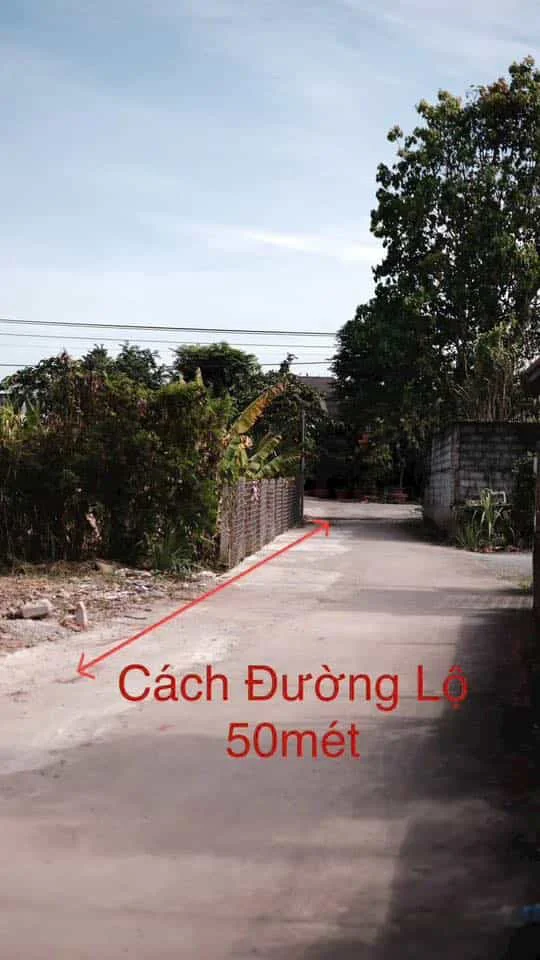 Bán Đất 14x14m Gần Chợ và Trường Học – Sổ Hồng Riêng
