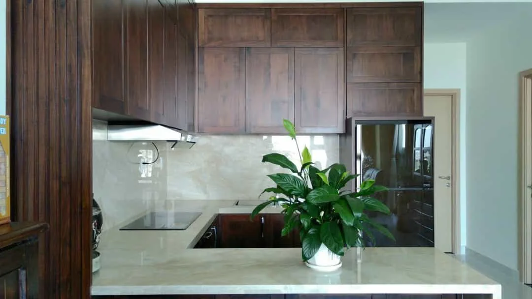 Cho Thuê Nhà Jamila Khang Điền – 3 Phòng Ngủ, 2 WC, 88m2