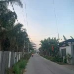 Cho Thuê Đất Tư Nhân Tại Tân Vĩnh Hiệp – Diện Tích 520m2